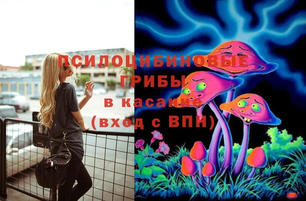 марихуана Заводоуковск